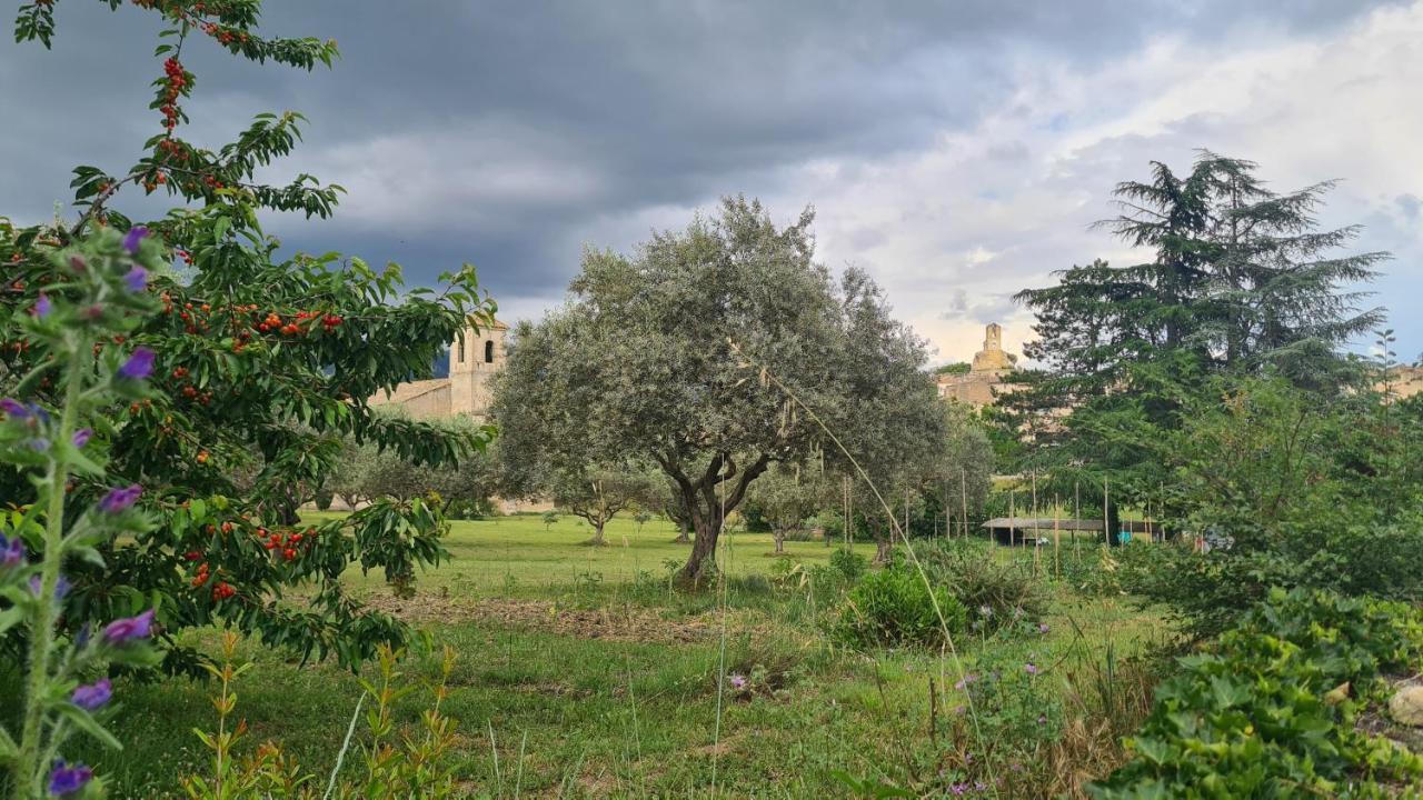 Cocon Du Papillon à Appartement